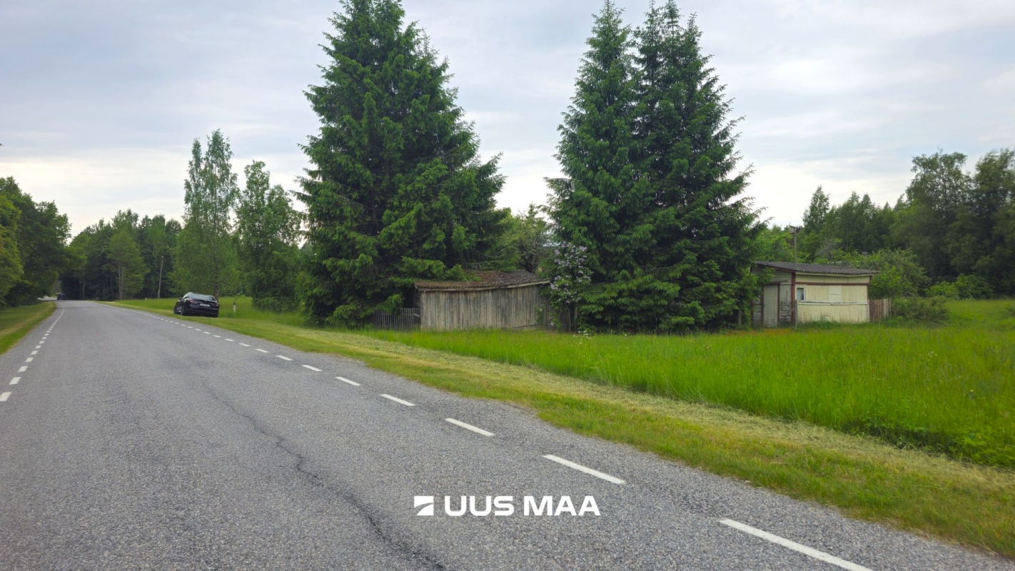 Alutaguse vald, Kuru küla, Kuldnoka