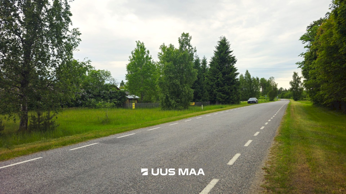 Alutaguse vald, Kuru küla, Kuldnoka
