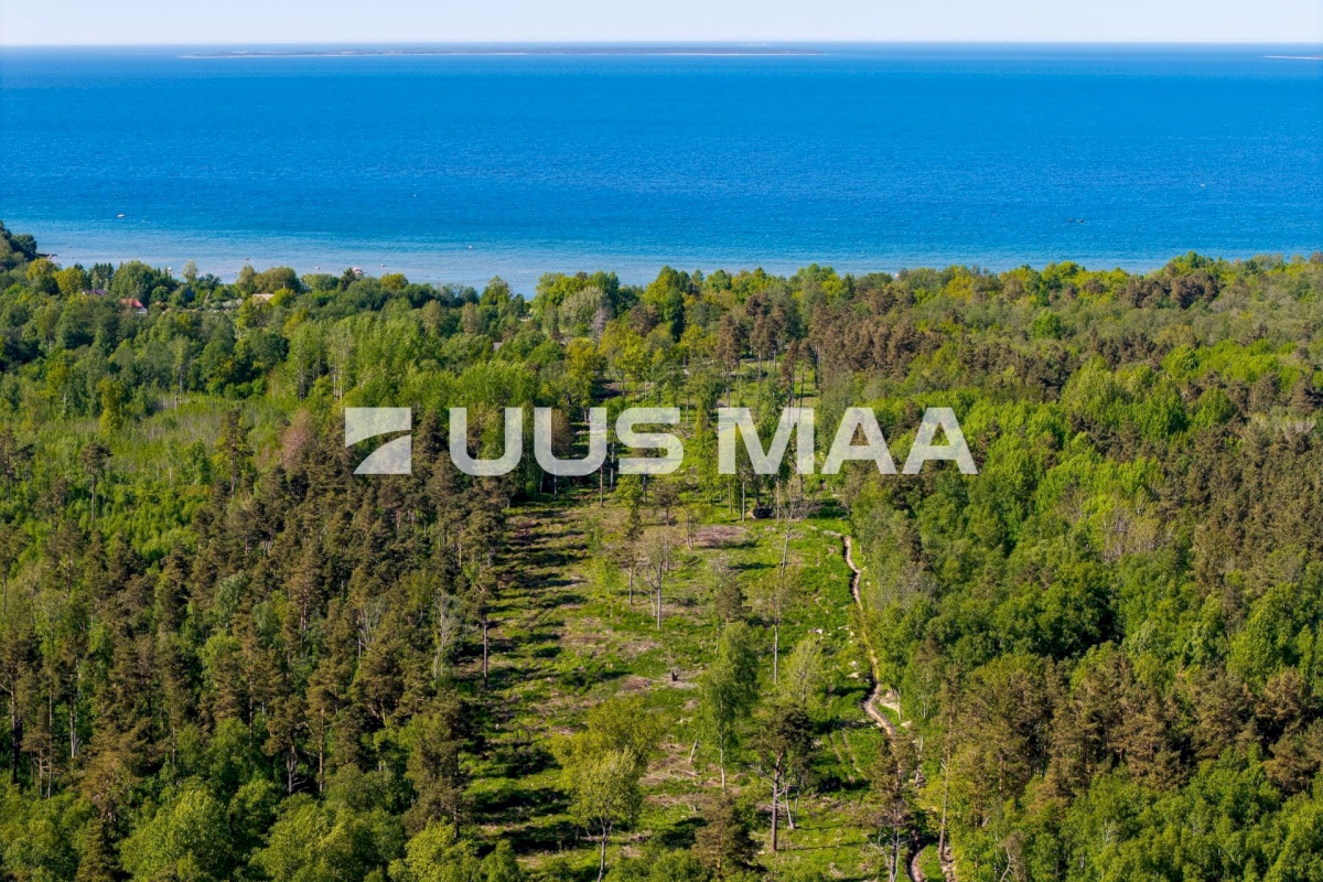 Jõelähtme vald, Ülgase küla, Kalda tee 24