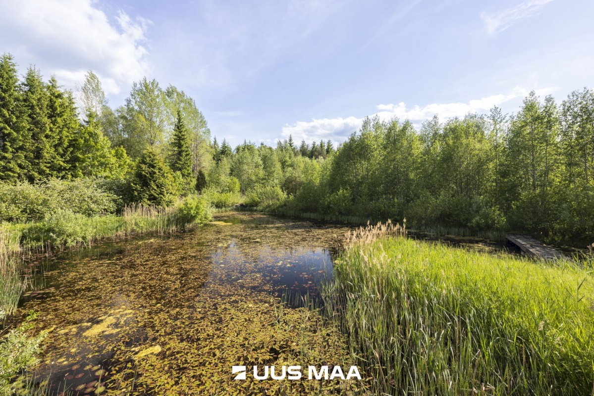 Saue vald, Pohla küla, Seimesauna