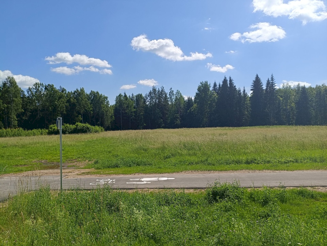 Võru vald, Puusepa küla