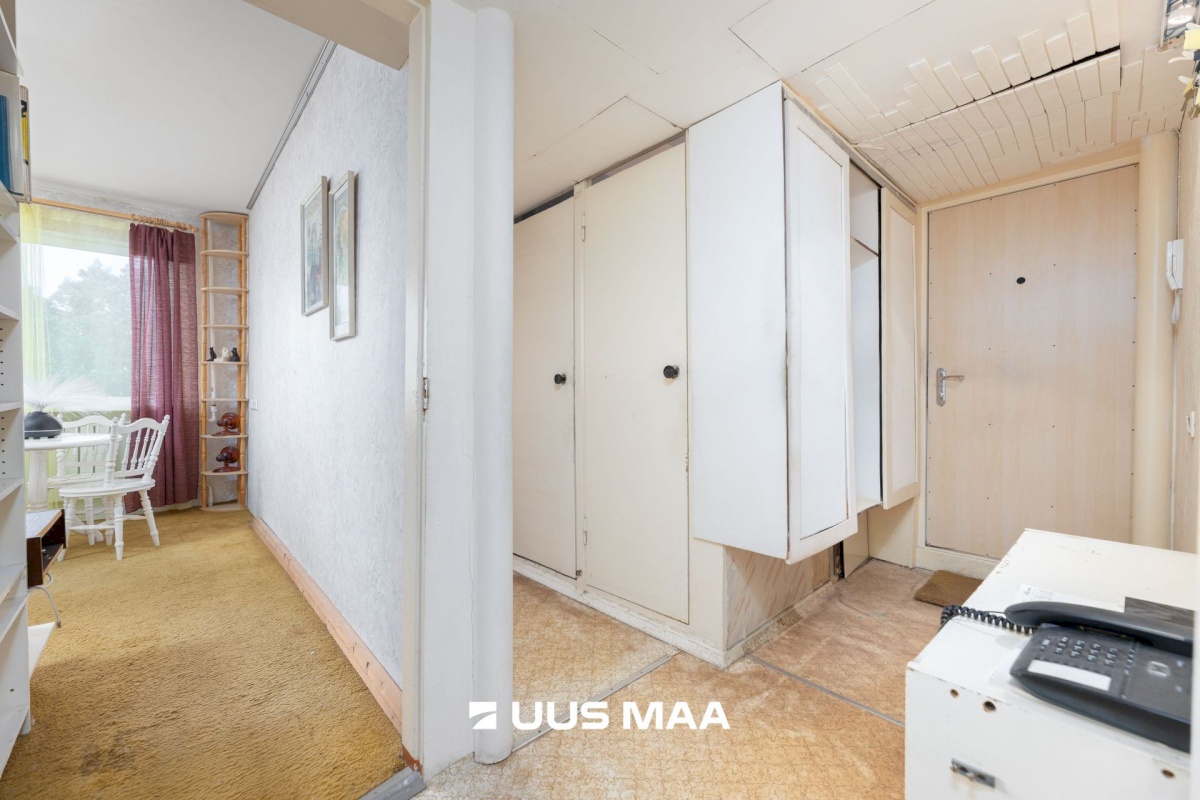 Tallinn, Põhja-Tallinna linnaosa, Puhangu 53
