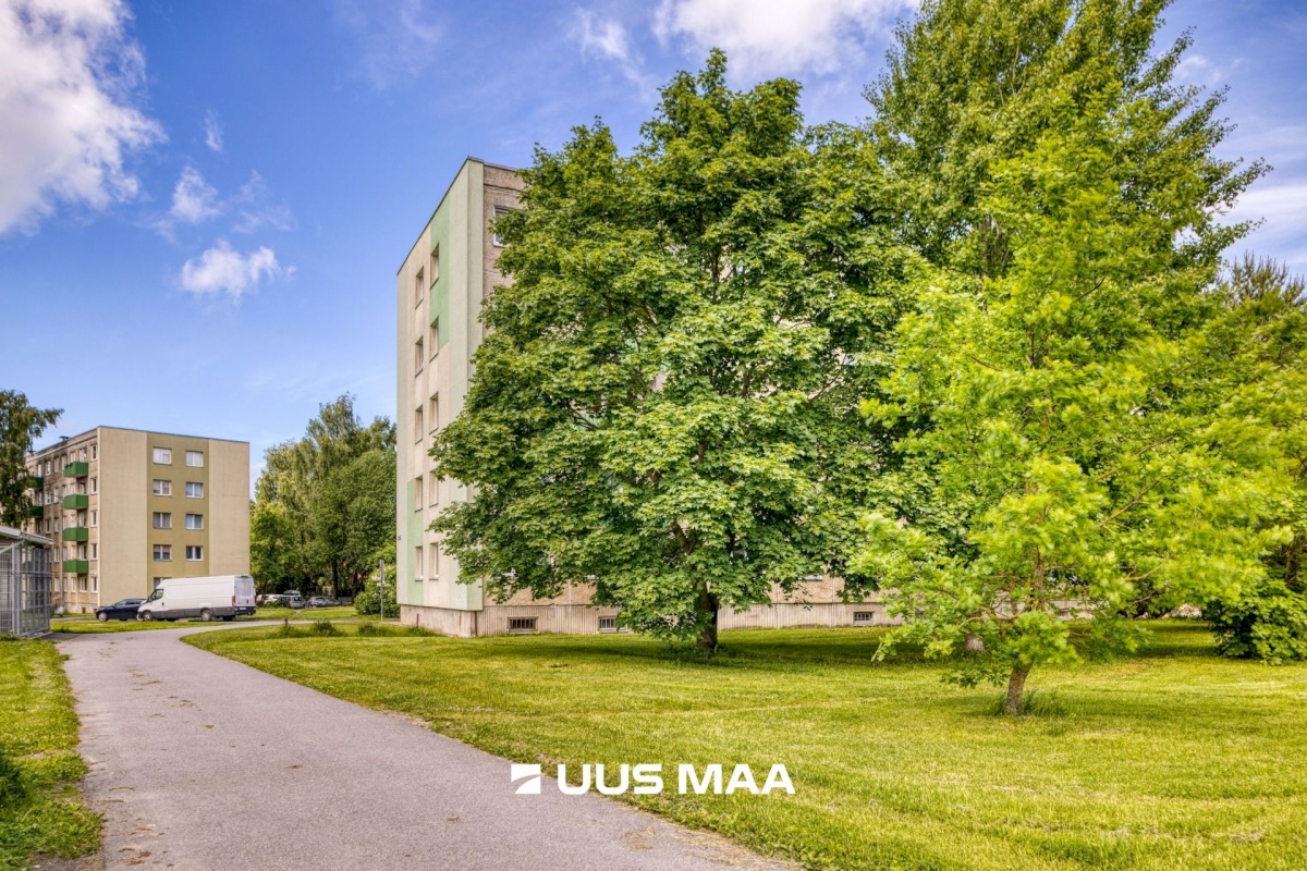Tallinn, Põhja-Tallinna linnaosa, Puhangu 53
