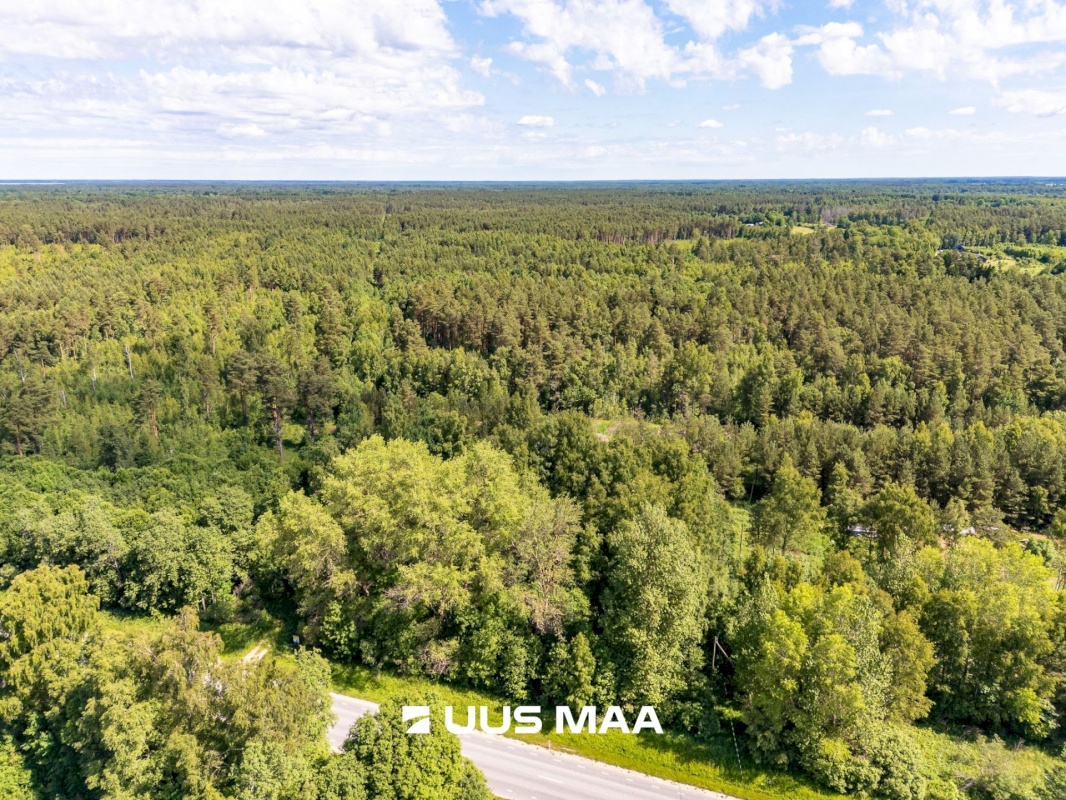 Haapsalu linn, Vilkla küla