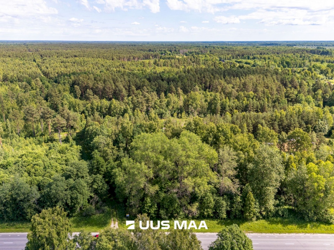 Haapsalu linn, Vilkla küla
