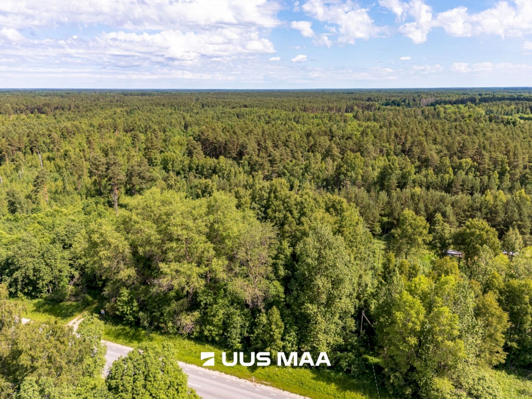Haapsalu linn, Vilkla küla