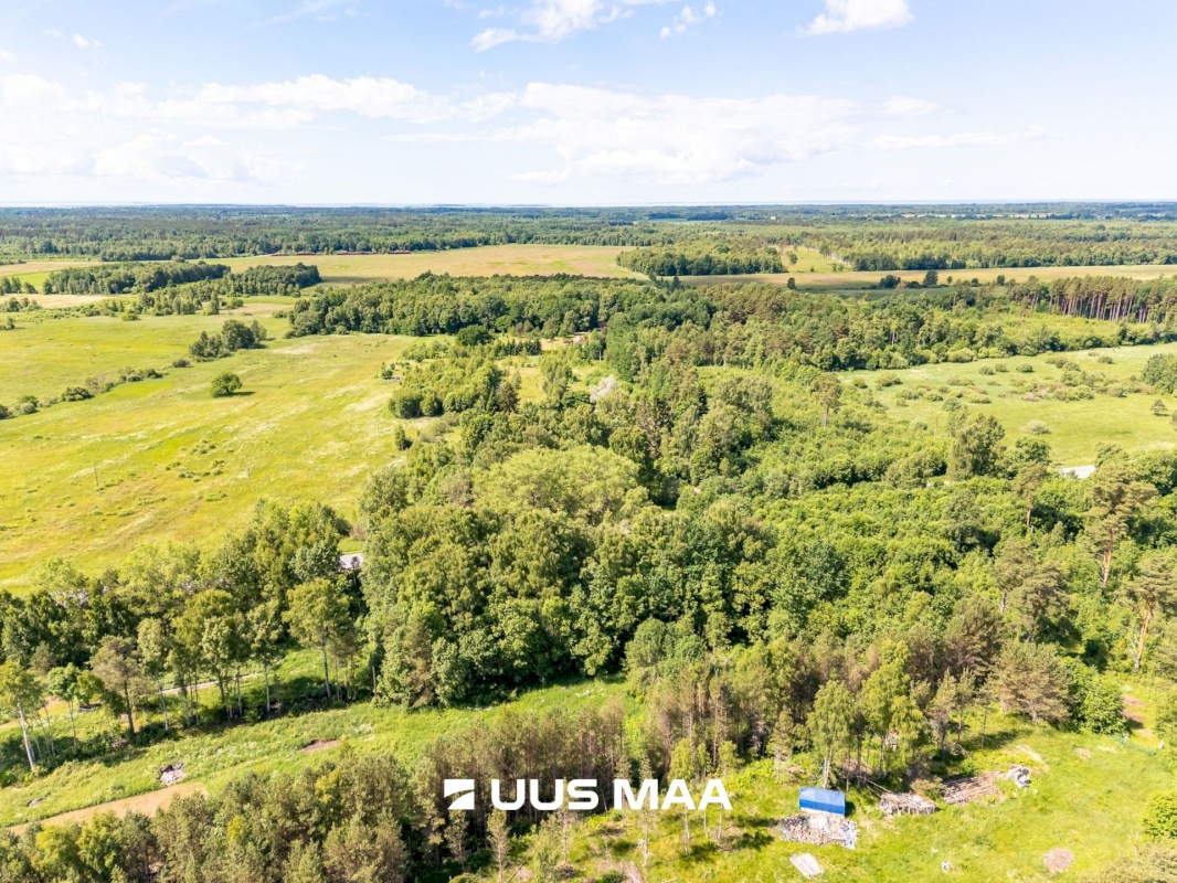 Haapsalu linn, Vilkla küla