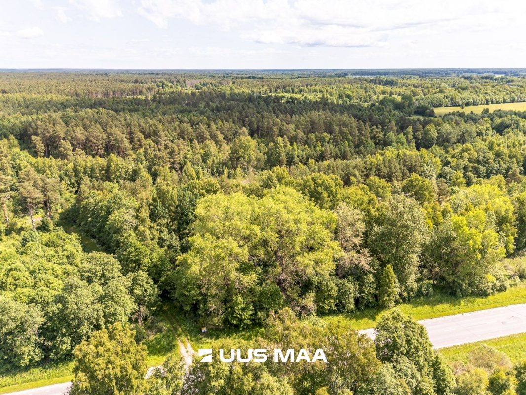 Haapsalu linn, Vilkla küla
