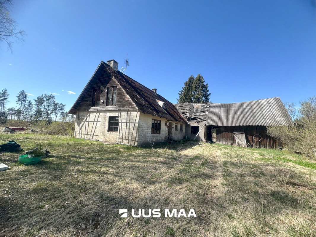Tapa vald, Tõõrakõrve küla, Alamaa