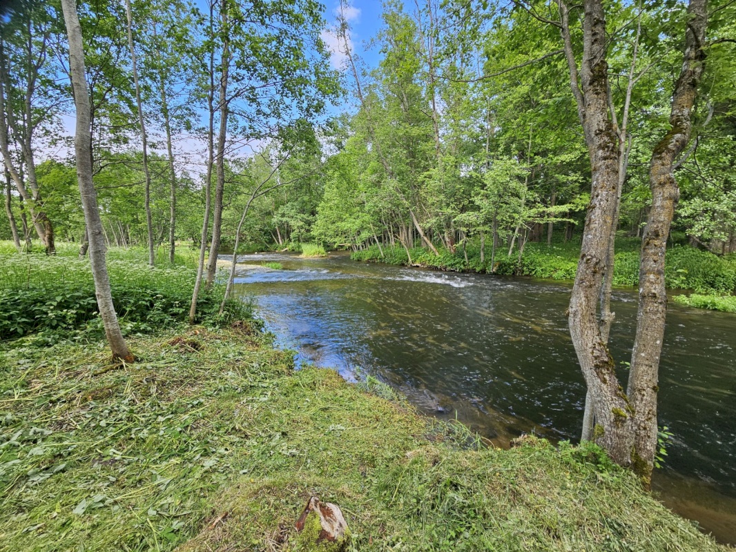 Haljala vald, Varangu küla, Hindreku