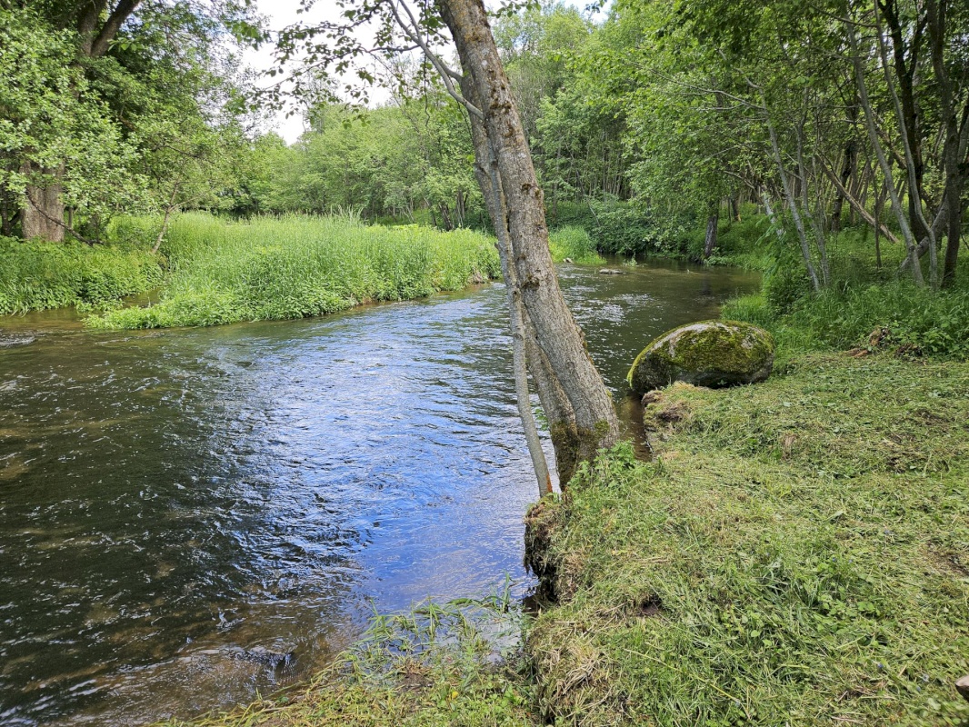 Haljala vald, Varangu küla, Hindreku