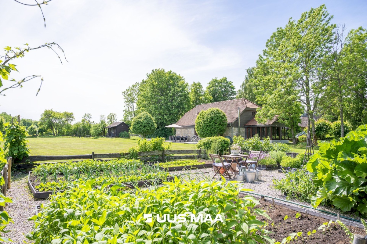 Saaremaa vald, Kavandi küla