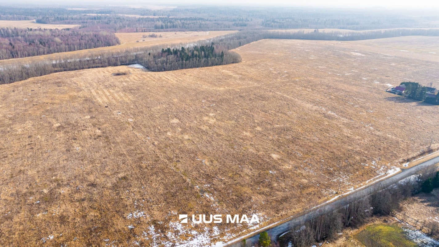 Lääne-Harju vald, Laane küla, Kasemetsa