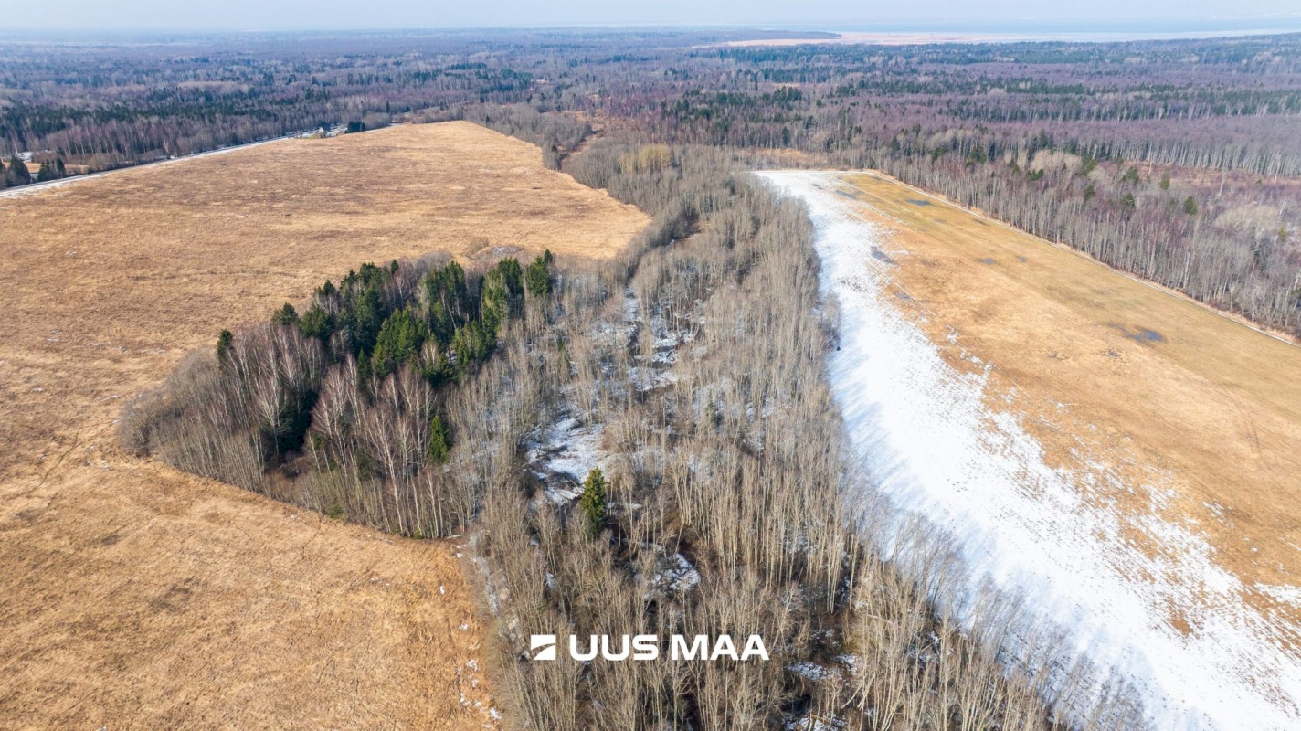 Lääne-Harju vald, Laane küla, Kasemetsa