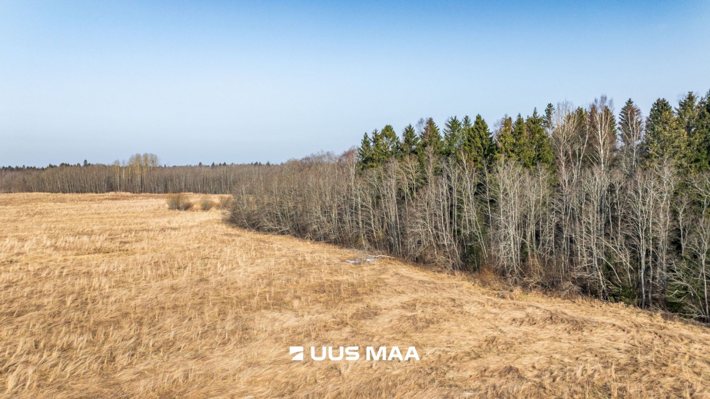 Lääne-Harju vald, Laane küla, Kasemetsa