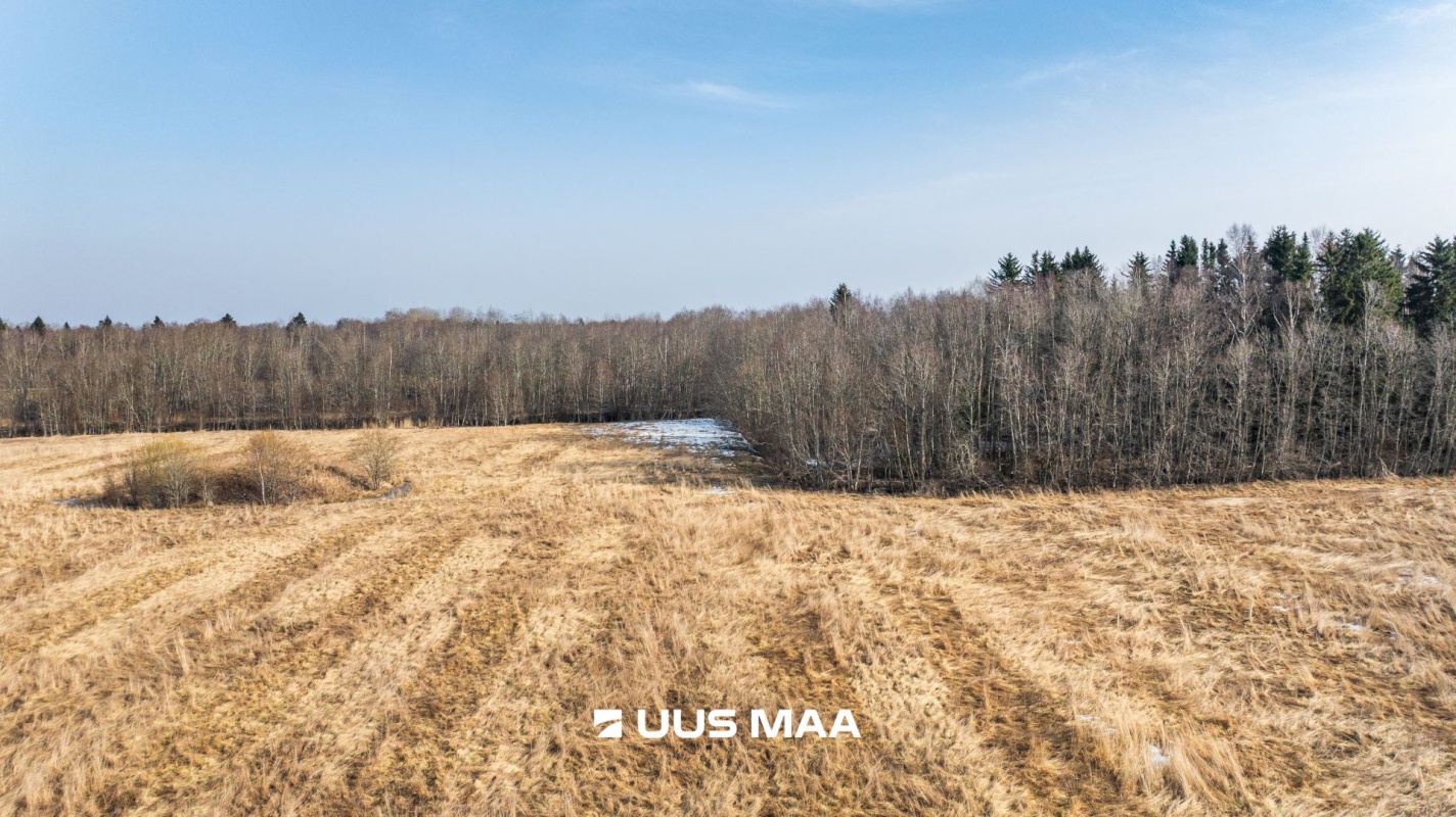 Lääne-Harju vald, Laane küla, Kasemetsa