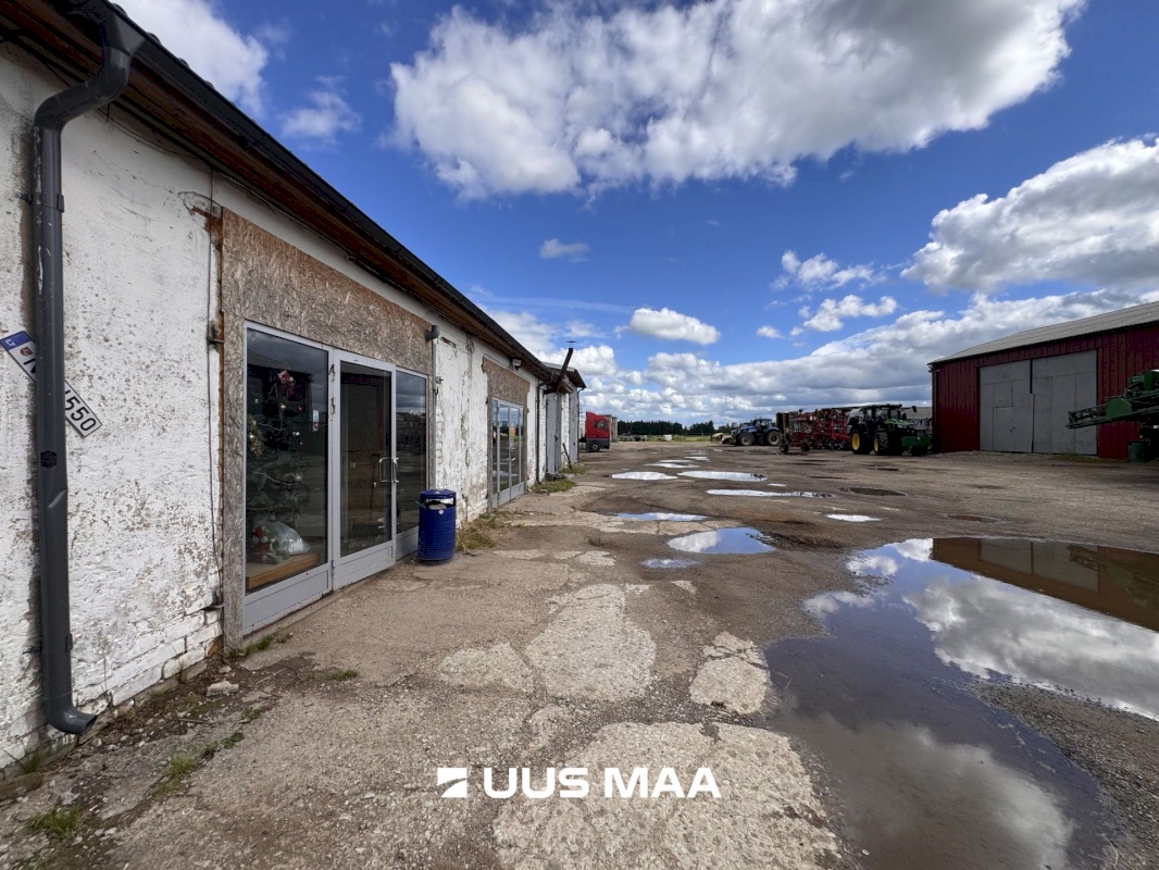 Rakvere vald, Roodevälja küla, Vahtra allee 13