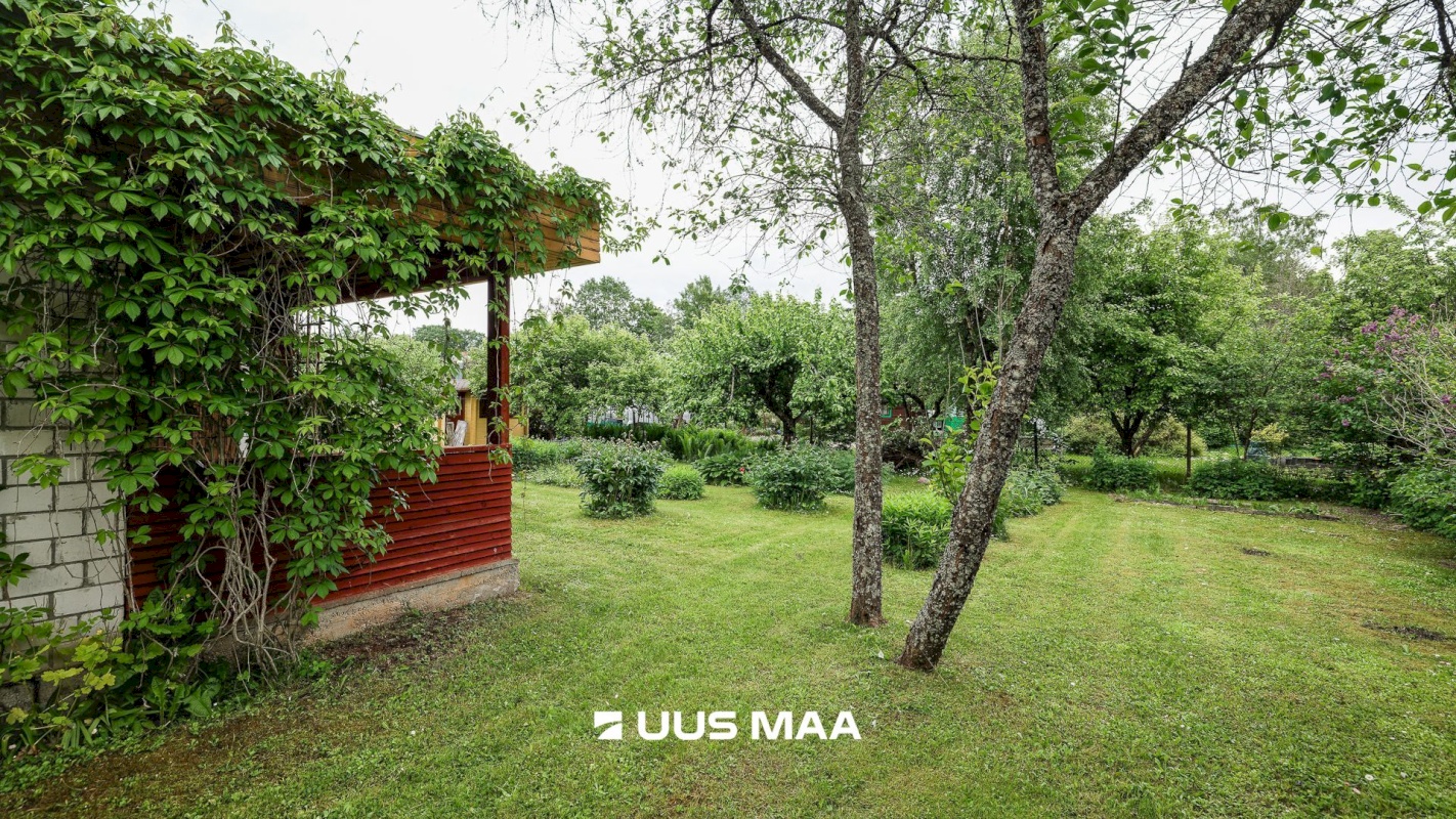 Saue vald, Laitse küla, Sarapuu AÜ 6