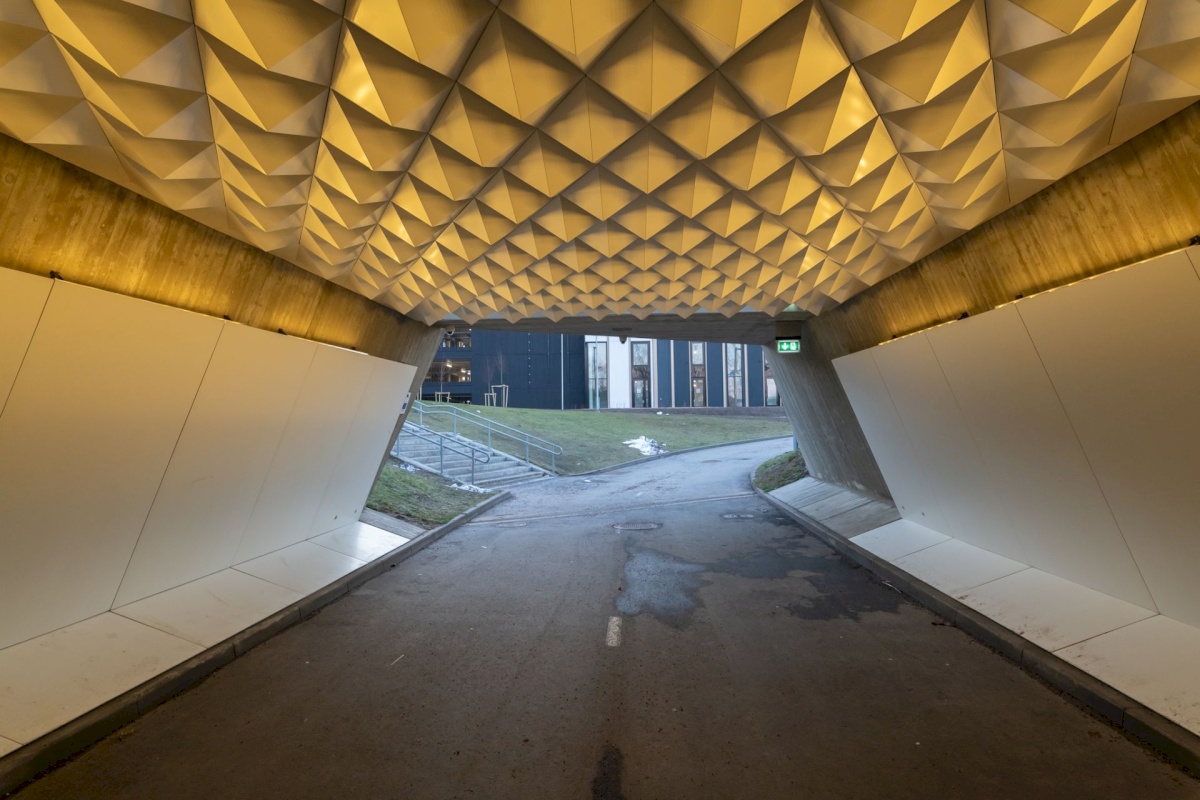 Tallinn, Haabersti linnaosa, Päevalille 8