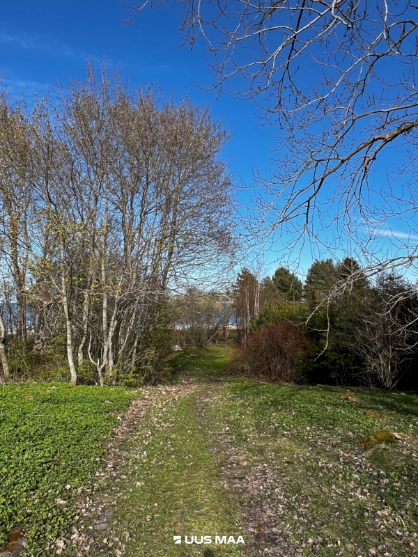Kuusalu vald, Viinistu küla, Suhkruaugu