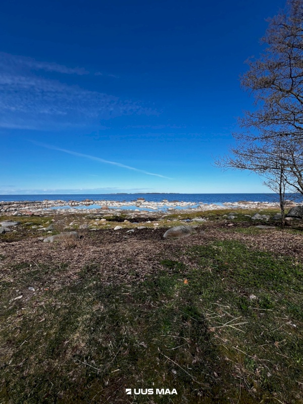 Kuusalu vald, Viinistu küla, Suhkruaugu