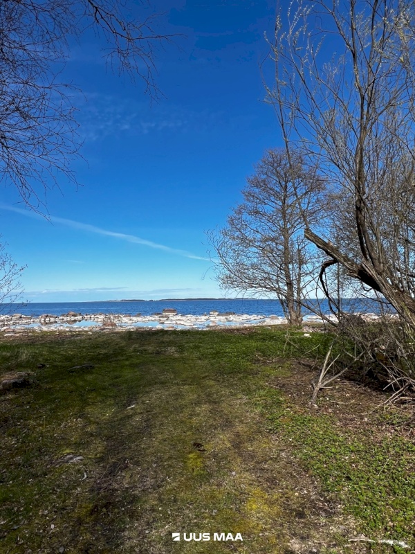 Kuusalu vald, Viinistu küla, Suhkruaugu