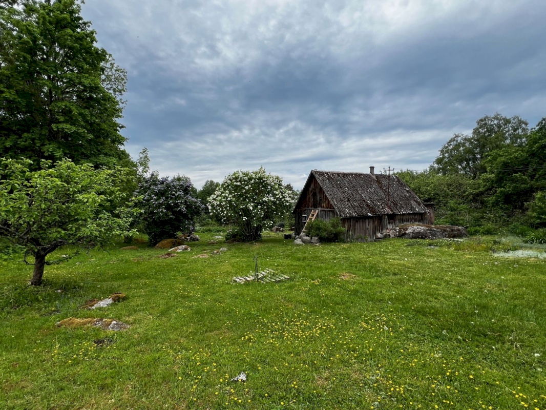 Kuusalu vald, Viinistu küla, Suhkruaugu