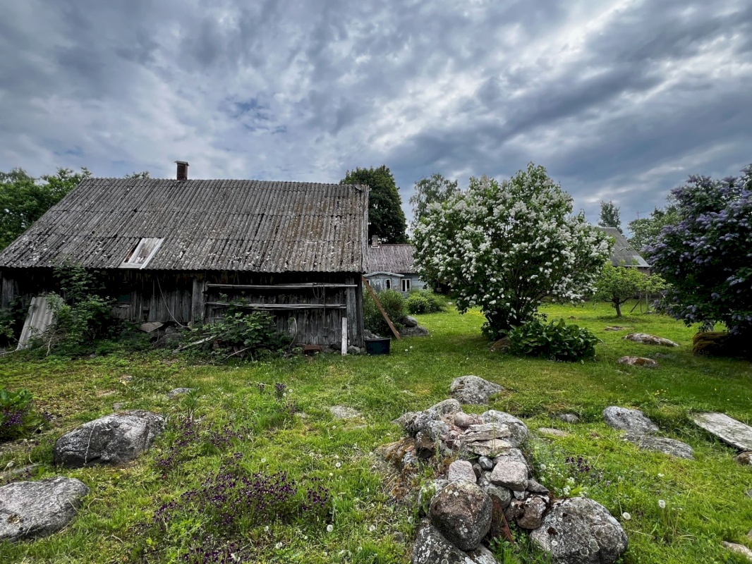 Kuusalu vald, Viinistu küla, Suhkruaugu