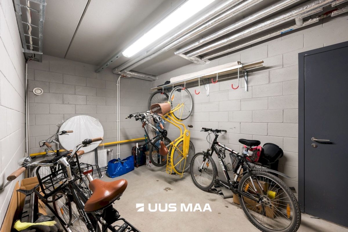 Tallinn, Põhja-Tallinna linnaosa, Pelgulinna, Ristiku 24