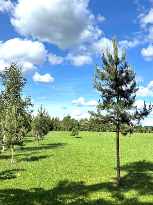 Räpina vald, Suure-Veerksu küla