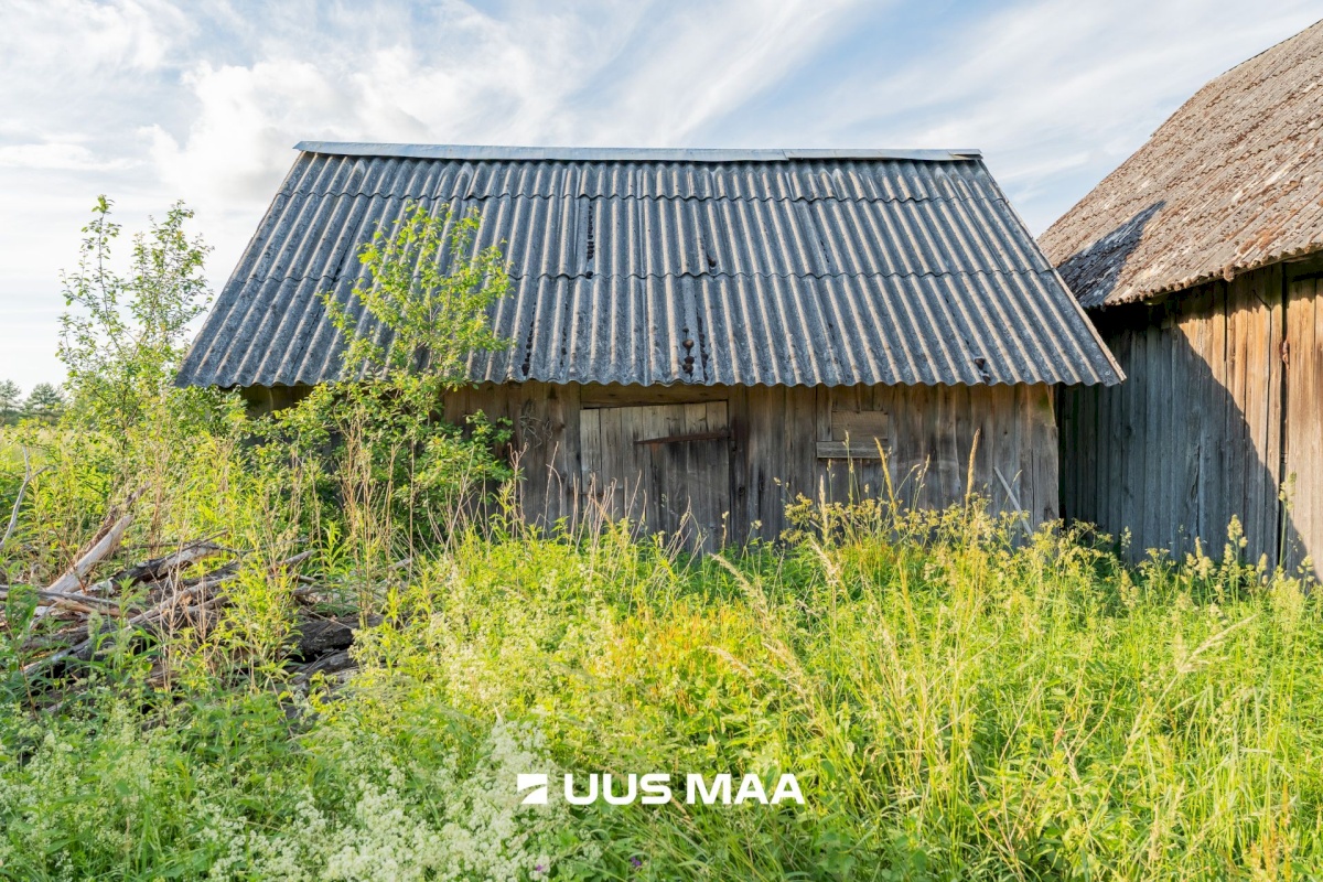Saarde vald, Sigaste küla, Laasi