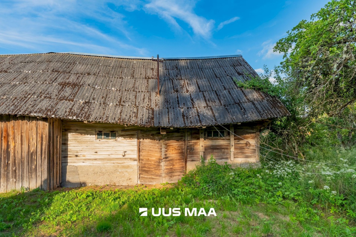 Saarde vald, Sigaste küla, Laasi