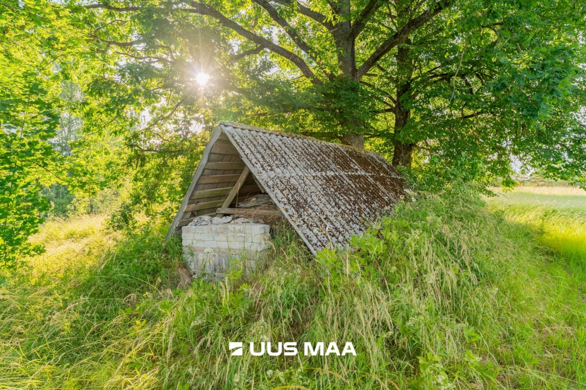 Saarde vald, Sigaste küla, Laasi