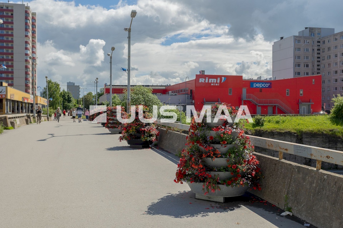 Tallinn, Lasnamäe linnaosa, Virbi 8