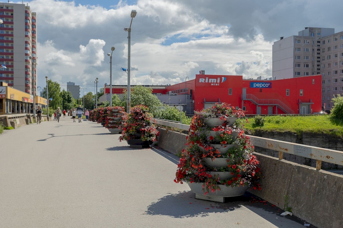 Tallinn, Lasnamäe linnaosa, Virbi 8