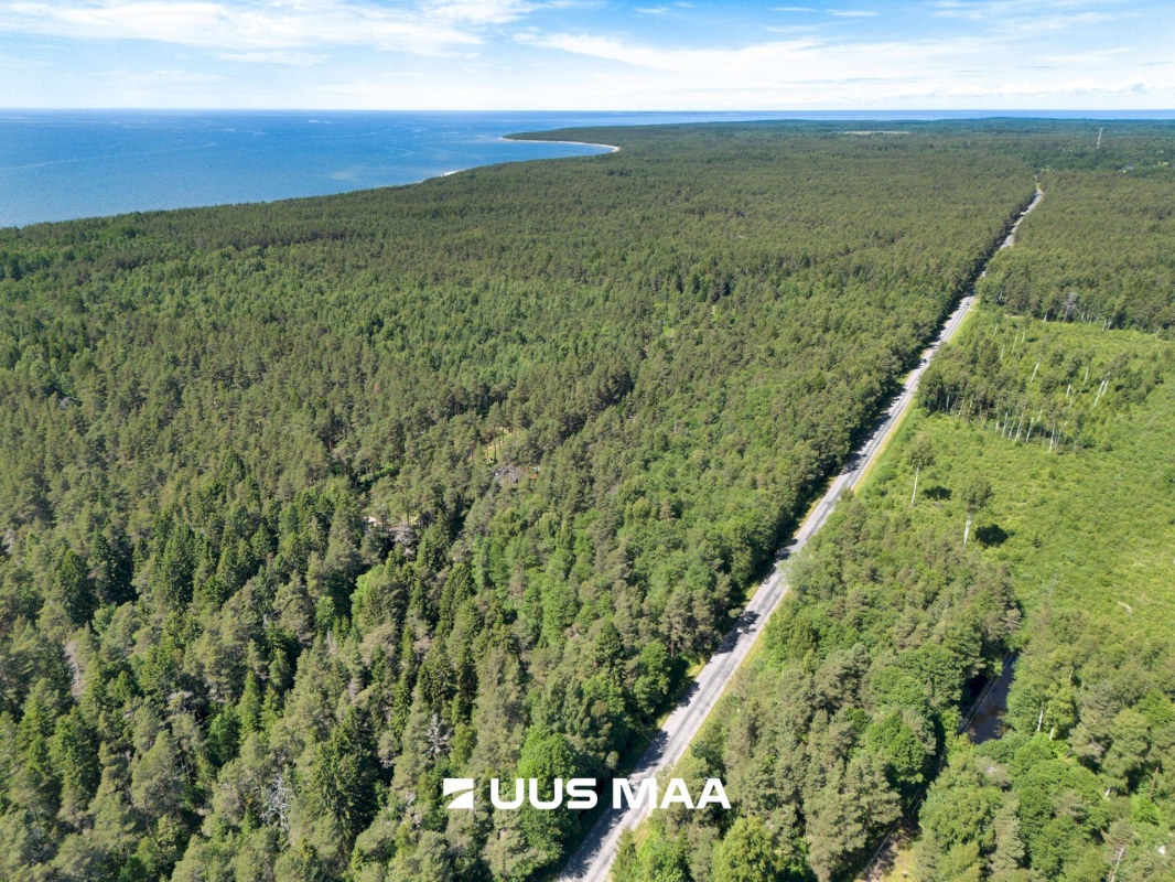 Lääne-Nigula vald, Elbiku küla/Ölbäck, Sinilille