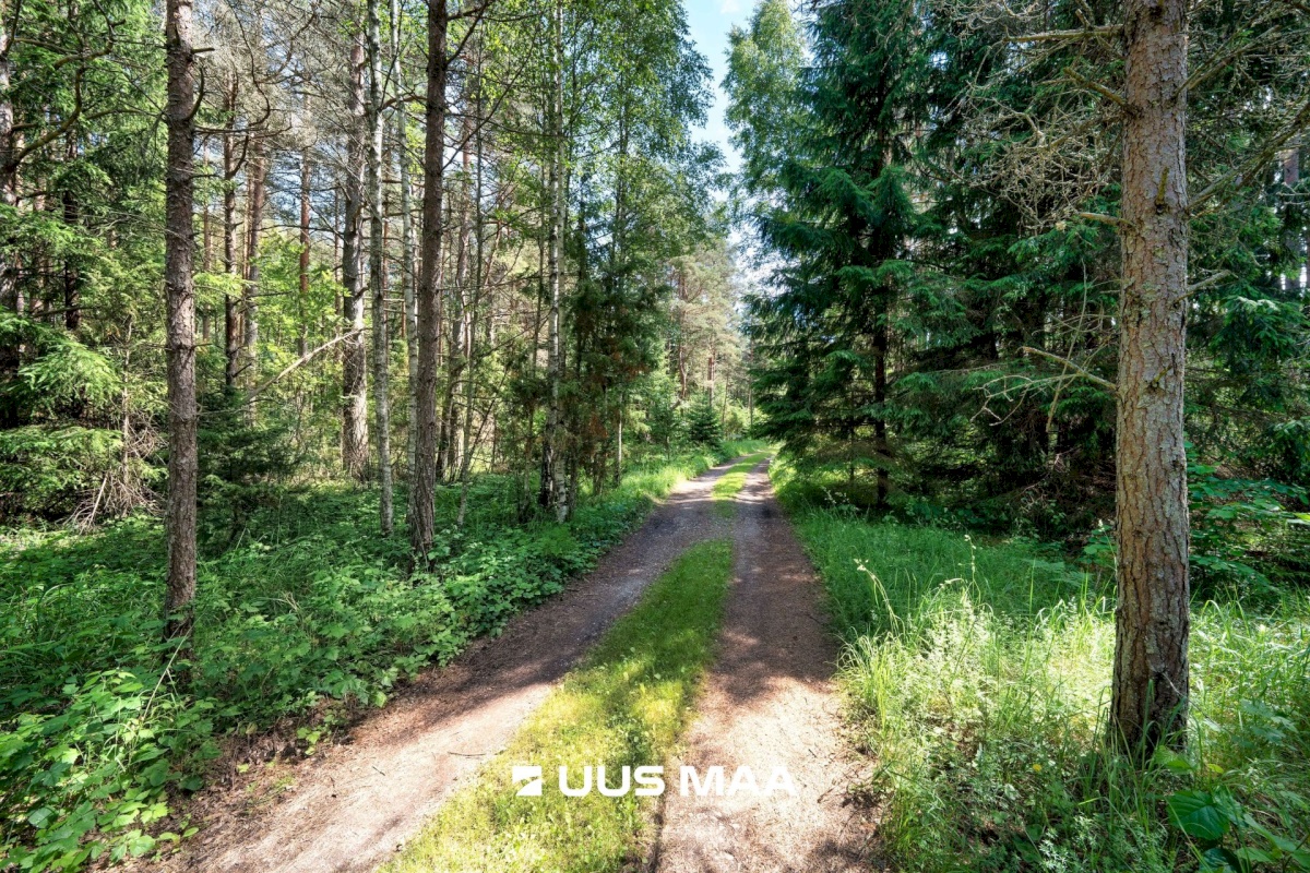 Lääne-Nigula vald, Elbiku küla/Ölbäck, Sinilille