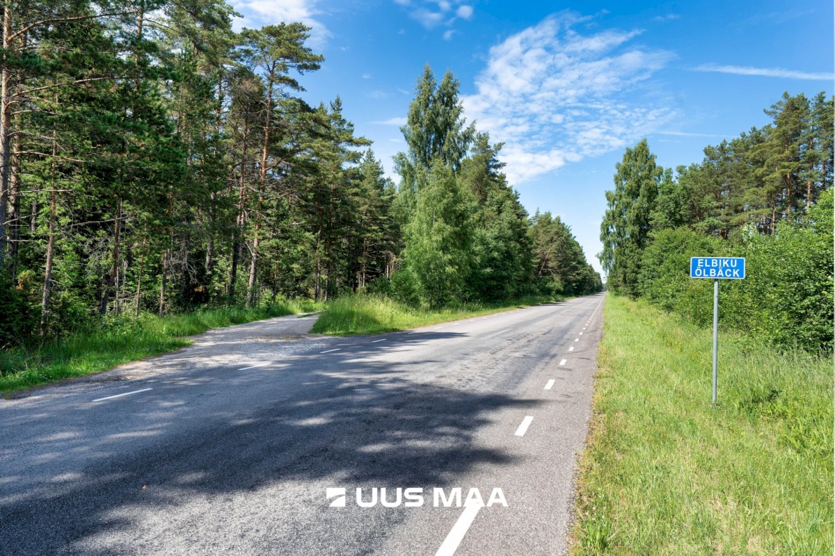 Lääne-Nigula vald, Elbiku küla/Ölbäck, Sinilille