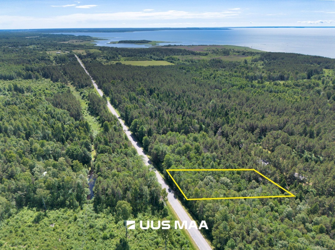 Lääne-Nigula vald, Elbiku küla/Ölbäck, Sinilille