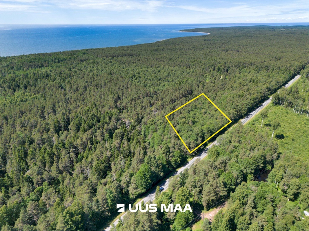 Lääne-Nigula vald, Elbiku küla/Ölbäck, Sinilille