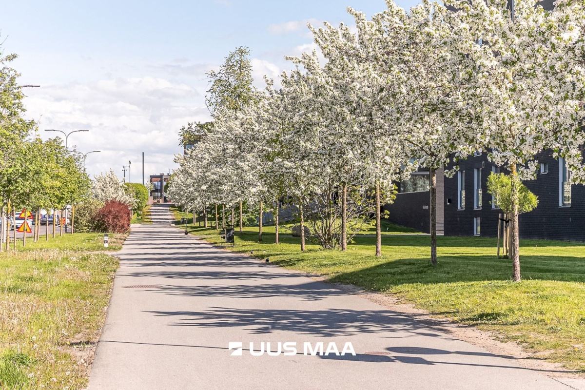 Tallinn, Põhja-Tallinna linnaosa, Kalamaja, Oda 2