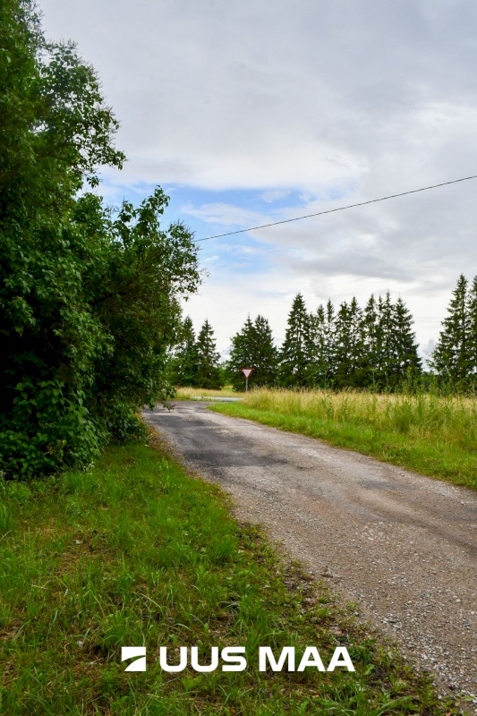 Lääne-Nigula vald, Kabeli küla, Sireli