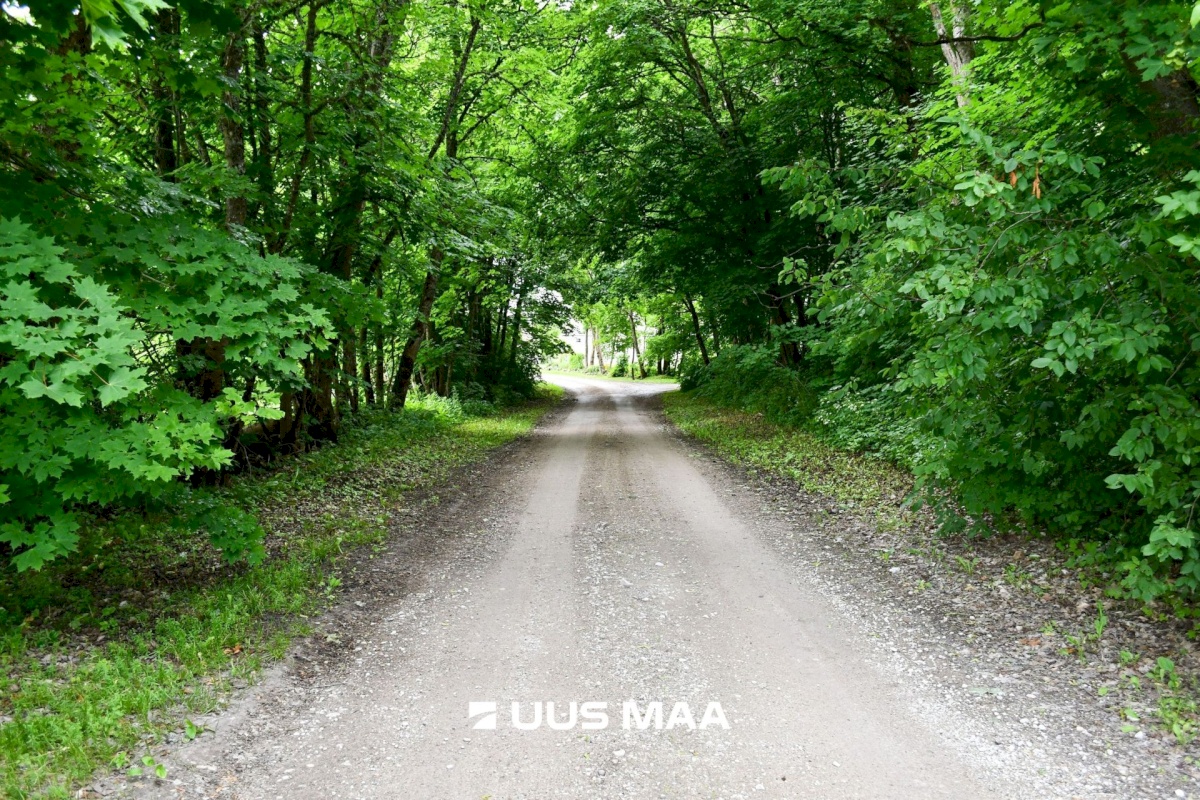 Lääne-Nigula vald, Kabeli küla, Sireli