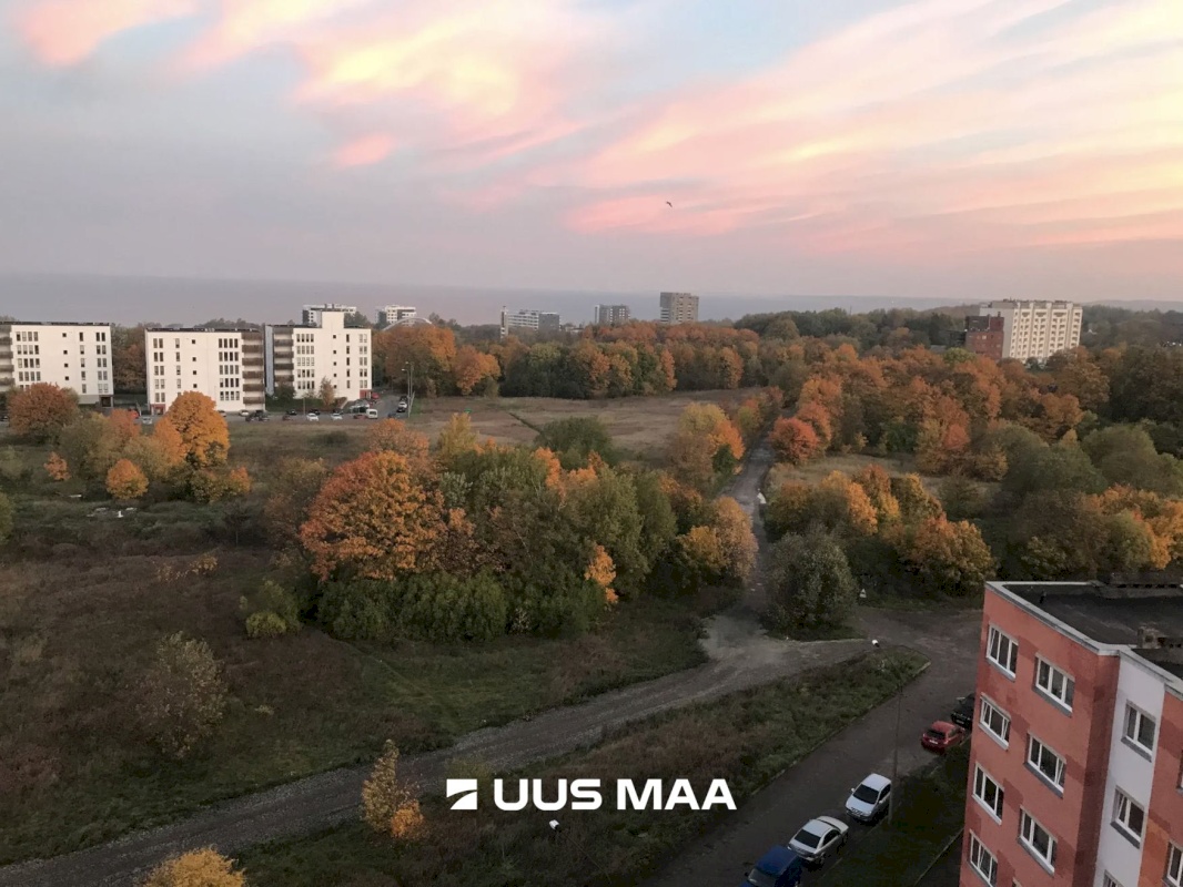 Tallinn, Lasnamäe linnaosa, Liikuri 10