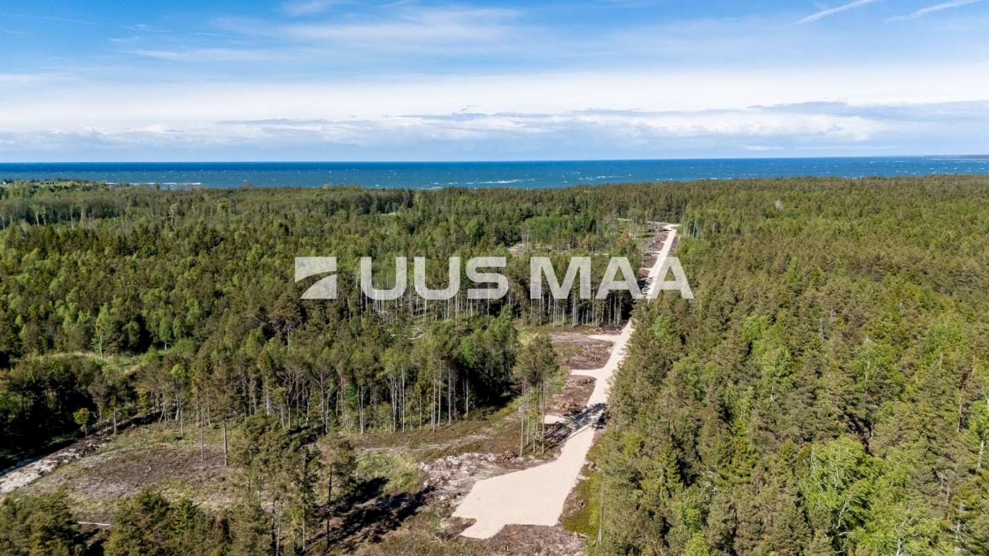 Lääne-Nigula vald, Spithami küla/Spithamn, Rändlinnu tee