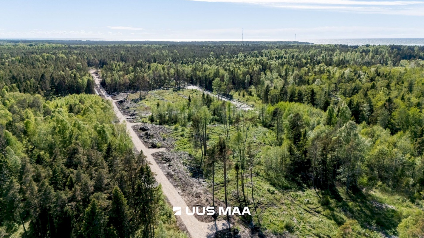 Lääne-Nigula vald, Spithami küla/Spithamn, Rändlinnu tee