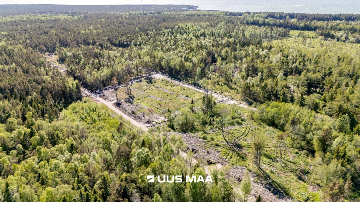 Lääne-Nigula vald, Spithami küla/Spithamn, Rändlinnu tee