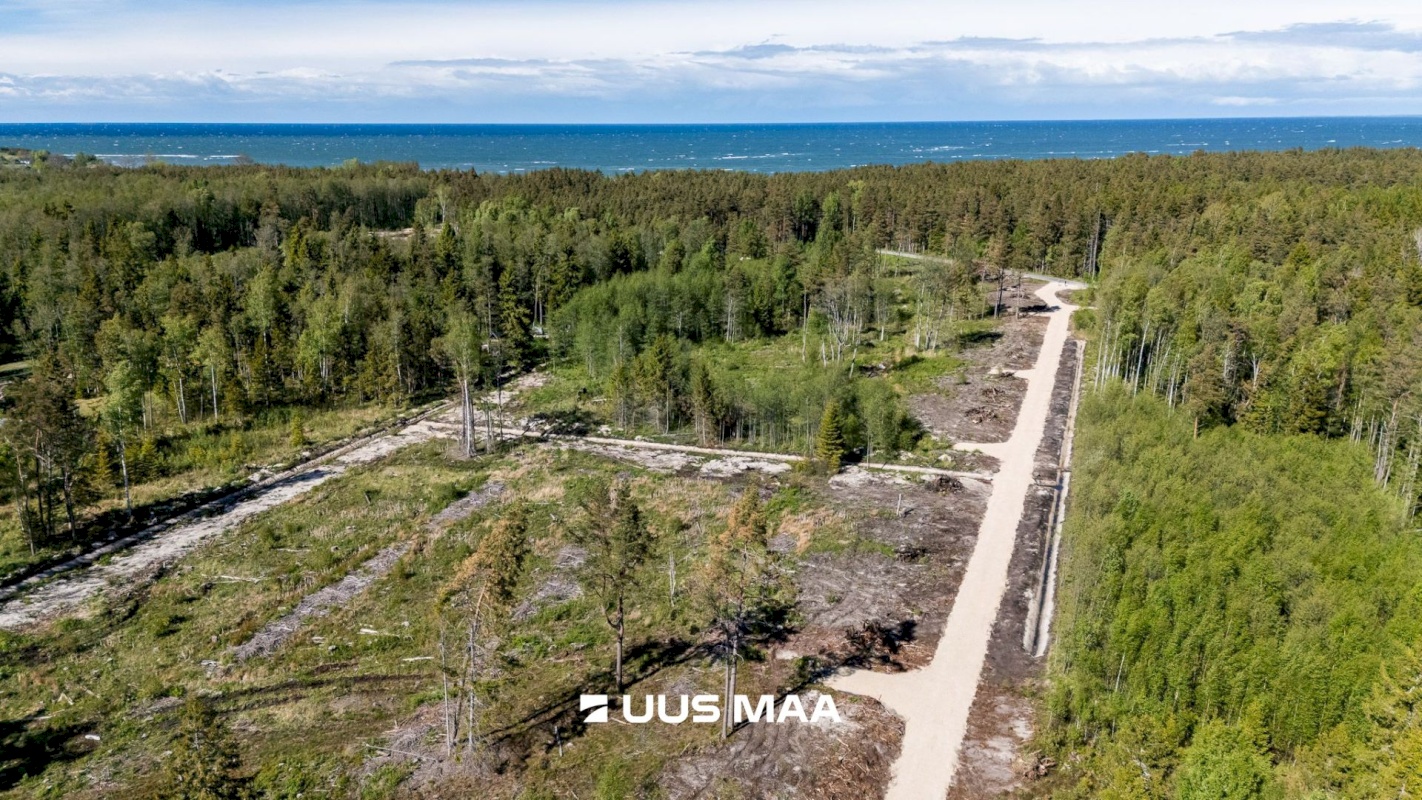 Lääne-Nigula vald, Spithami küla/Spithamn, Rändlinnu tee