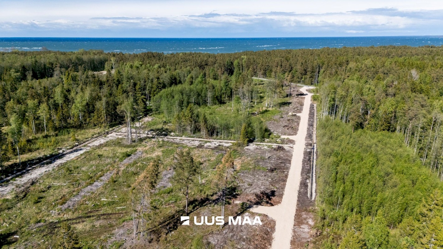 Lääne-Nigula vald, Spithami küla/Spithamn, Rändlinnu tee