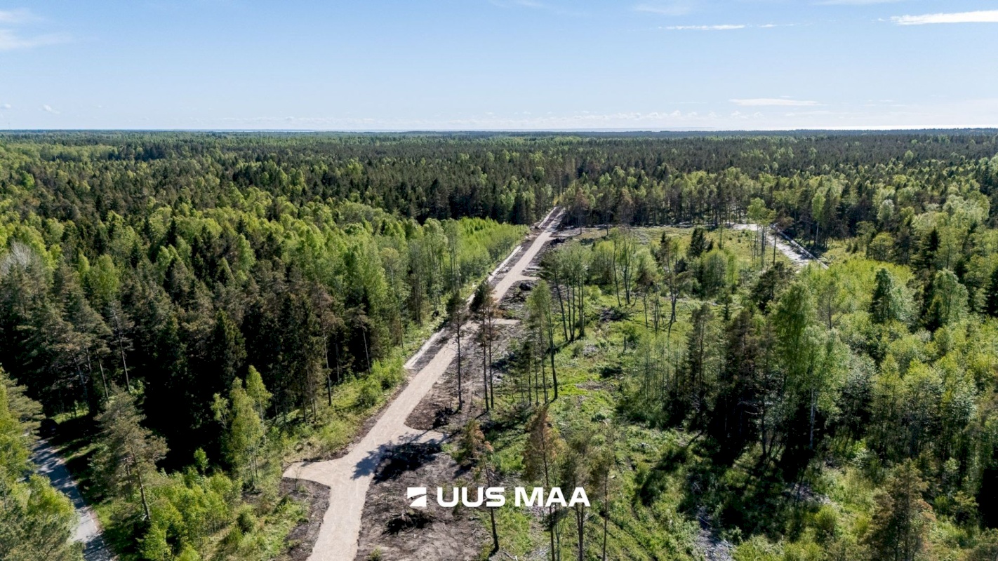 Lääne-Nigula vald, Spithami küla/Spithamn, Rändlinnu tee